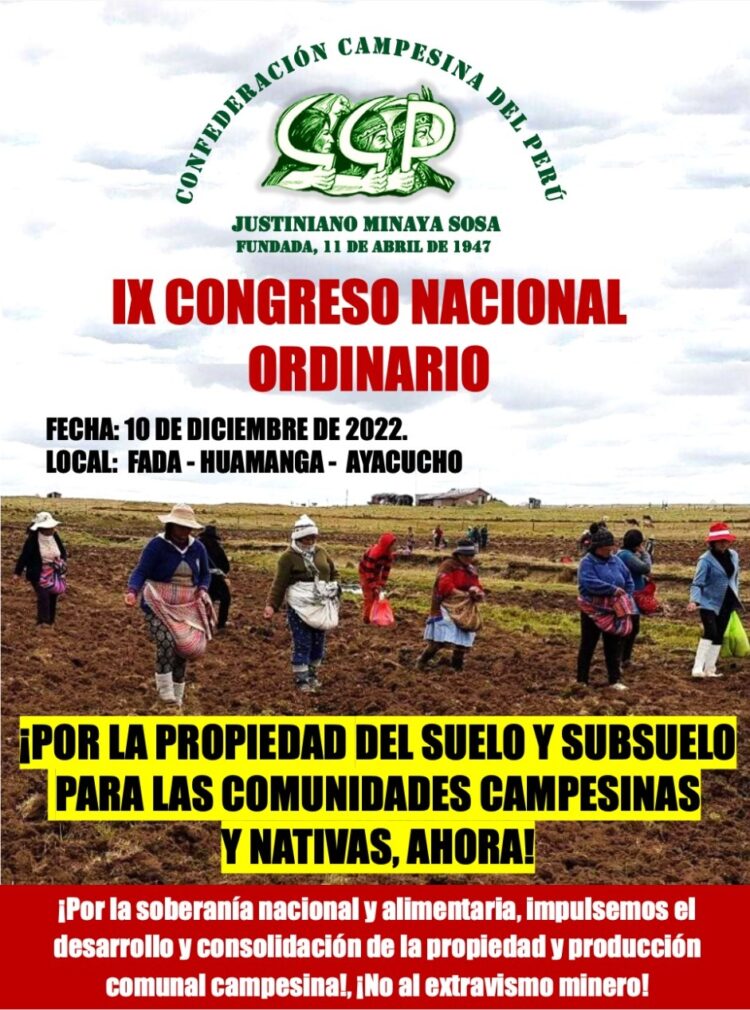 IX CONGRESO NACIONAL ORDINARIO