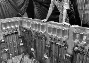 Experimento Universo 25