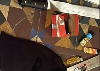 En Lima Exigen Insurgencia Popular, Ante la masacre de Boluarte -vídeo