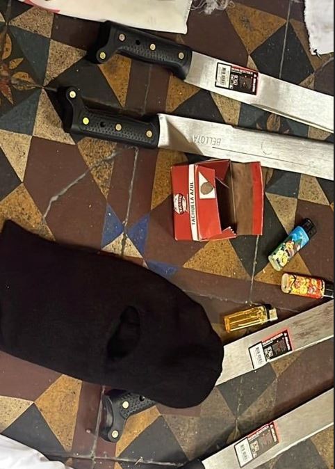 En Lima Exigen Insurgencia Popular, Ante la masacre de Boluarte -vídeo