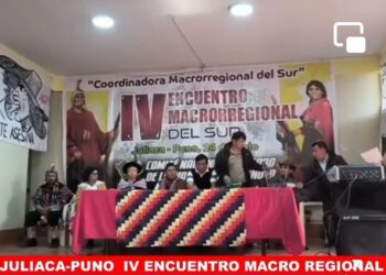 ¡Último Minuto! En Puno Aceptan Restitución de Pedro Castillo