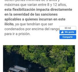 Perú: Decreto legislativo No. 1585, es parte del pacto entre Dina Boluarte y ALIANZA PARA EL PROGRESO de Cesar Acuña.