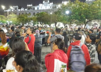 Perú: una evaluación del paro nacional del 13-14-15 de noviembre